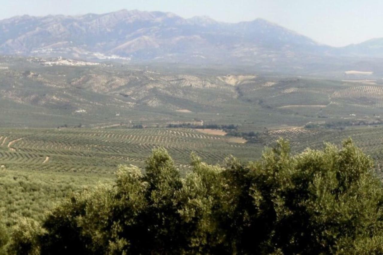 Вилла Cortijo El Derramadero Вильякаррильо Экстерьер фото
